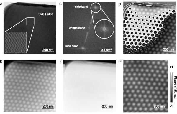 figure-results-4 B20 FeGe crystal lattice, electron microscopy images displaying phase shift patterns and atomic structure.
