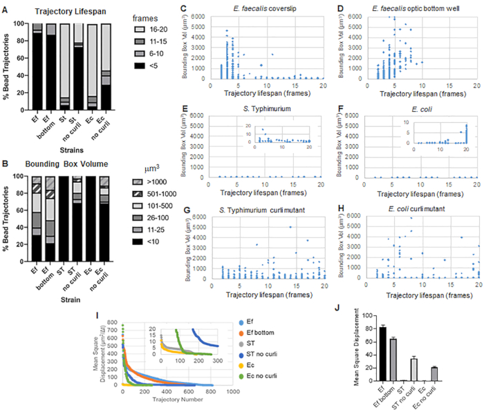 Bacterial strain trajectory analysis; charts of lifespan, volume, and bead displacement comparisons.