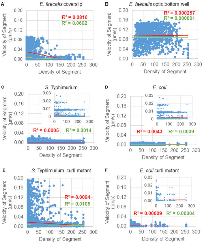 Bacterial velocity vs density graph; E. faecalis, S. Typhimurium, E. coli, mutant comparisons.