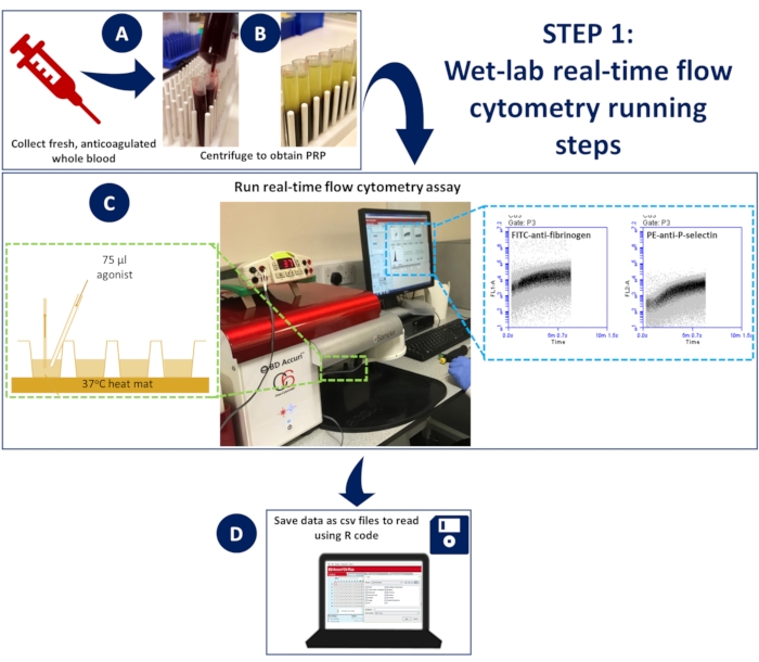 Wet-lab real-time flow cytometry diagram: PRP prep, assay setup, data save for analysis.