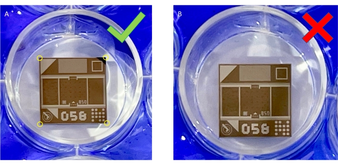 Microfluidic device diagram for detection comparison, showcasing optimal setup (A) and suboptimal (B).