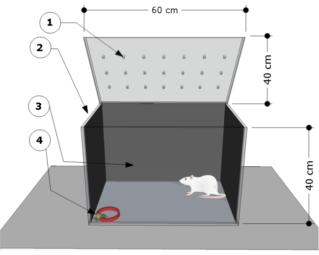 Operant conditioning chamber diagram with rat for behavioral experiment setup, dimensions labeled.