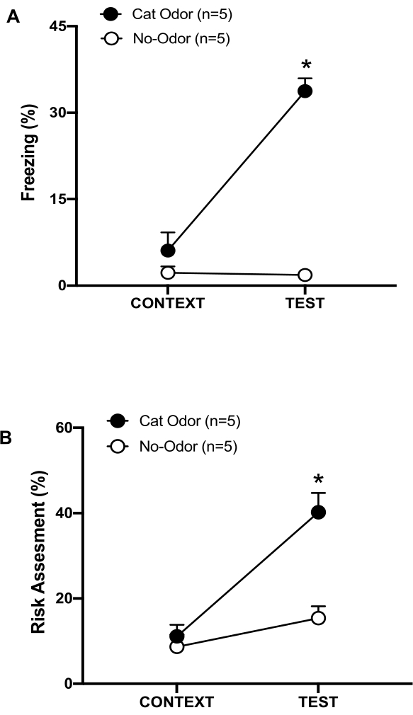 Cat odor induces freezing and risk assessment in rodents; behavioral response graph, statistical analysis.
