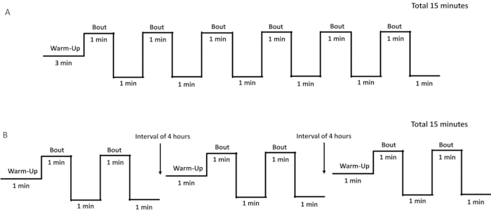 figure-results-2 Interval training diagram; two exercise regimens, warm-up and 1-min bouts, total 15 min each.