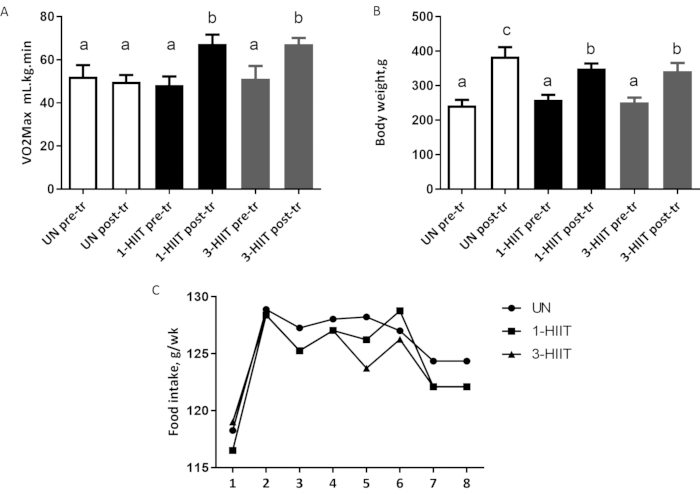 figure-results-3 VO2Max, body weight, and food intake graphs; analyze HIIT workout effects on rats.