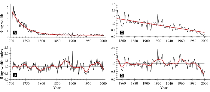 figure-protocol-9 Tree ring growth trend analysis charts; historical ring width/index data, dendrochronology study.