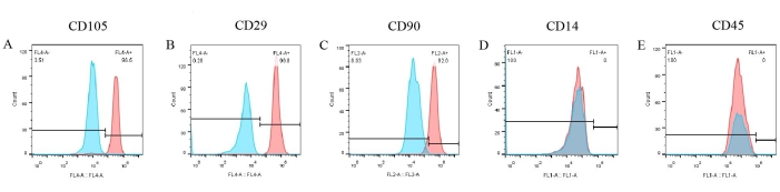 figure-results-6 Flow cytometry histograms of CD markers (CD105, CD29, CD90, CD14, CD45) expression analysis.