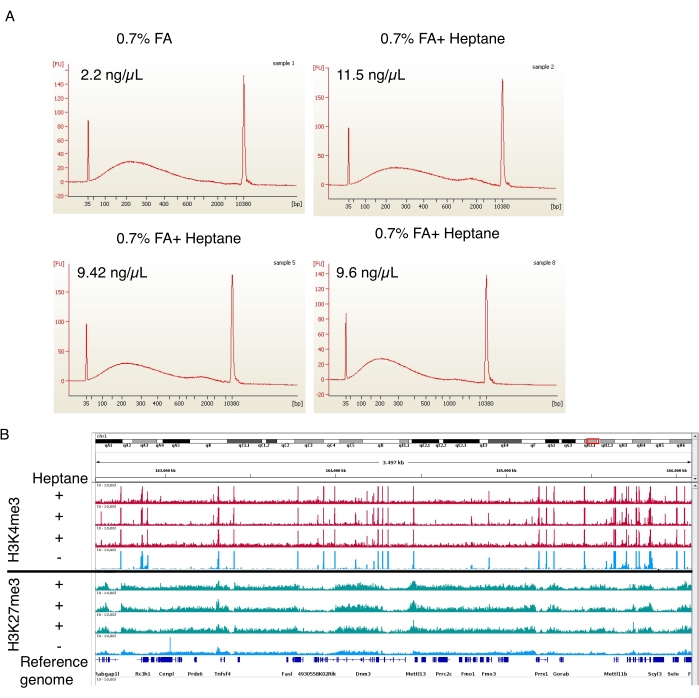 figure-results-4 Chromatography experiment results; DNA separation graph; H3K4me3, H3K27me3 histone modification analysis.