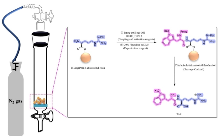 Solid-phase peptide synthesis diagram showing Fmoc-protected sequence and chemical reactions setup.