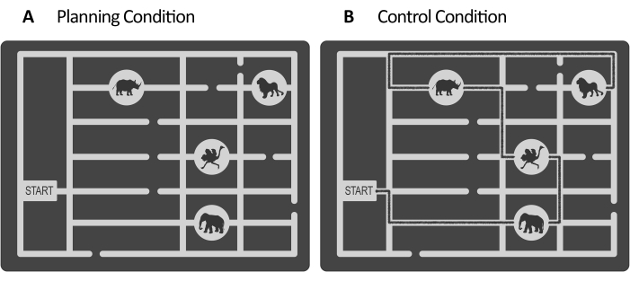 Maze diagram, planning vs. control condition, path strategy comparison in animal behavior study.