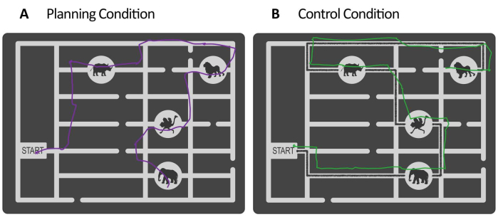 Maze navigation paths; diagram of planning vs control conditions; purple and green paths indicate routes.