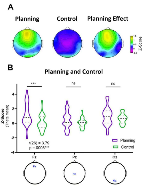 Brain activity analysis, Z-Score maps and violin plots in cognitive task study, EEG data comparison.