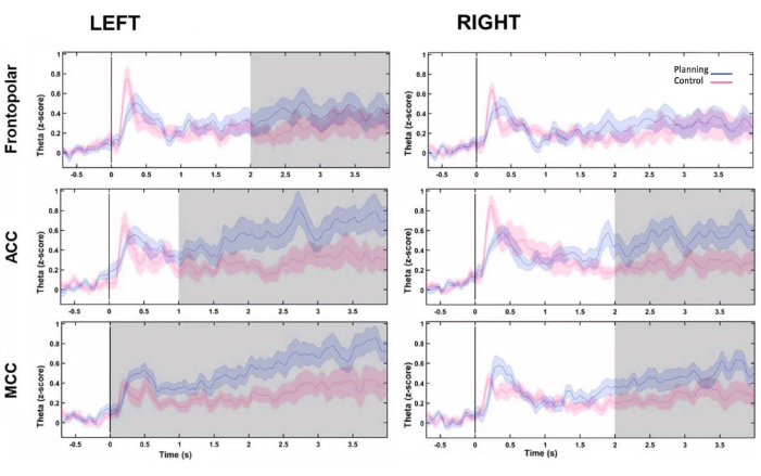 Neural theta activity graphs; left-right brain, planning vs. control; EEG data analysis results.