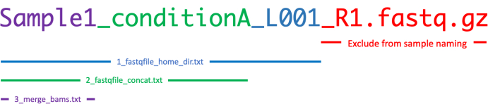 FASTQ file naming convention diagram, showing step-by-step fastqfile preparation process.
