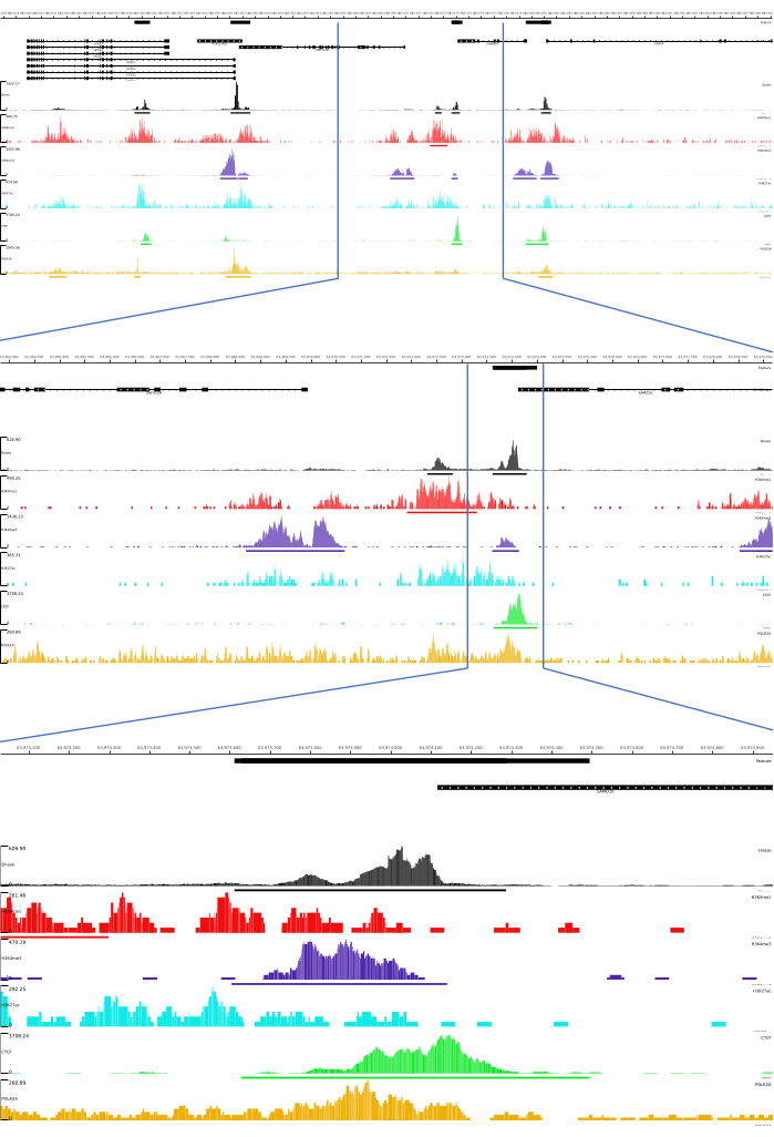 Genomic data analysis graph; colored peaks represent sequence alignment; bioinformatics research.