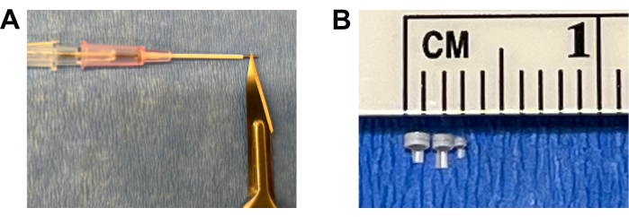 figure-results-1 Surgical suture technique showing needle and tweezers; Size comparison with centimeter scale.