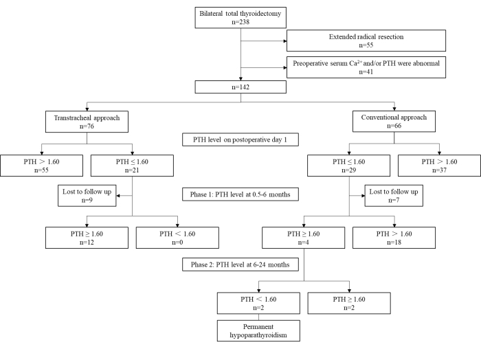 figure-results-1 Flowchart of thyroidectomy patient outcomes with PTH levels, depicting treatment paths and hypoparathyroidism.