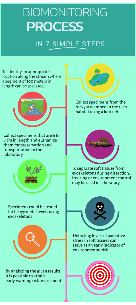 figure-protocol-1 Biomonitoring process diagram in 7 steps, including specimen collection and environmental analysis.