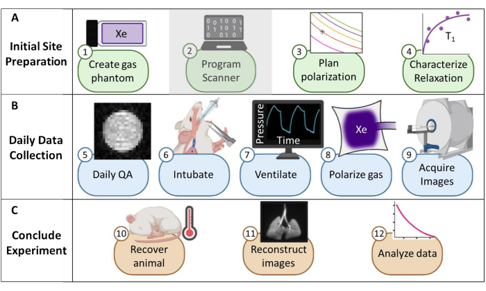 Experimental workflow diagram for gas imaging: site prep, data collection, image analysis.