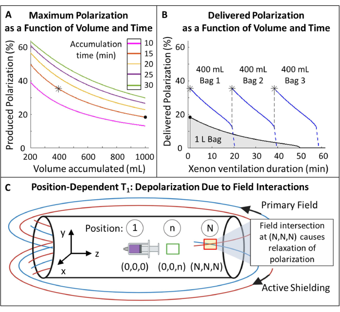 Polarization vs. volume/time; polarization delivery; field interaction diagrams; depolarization study.