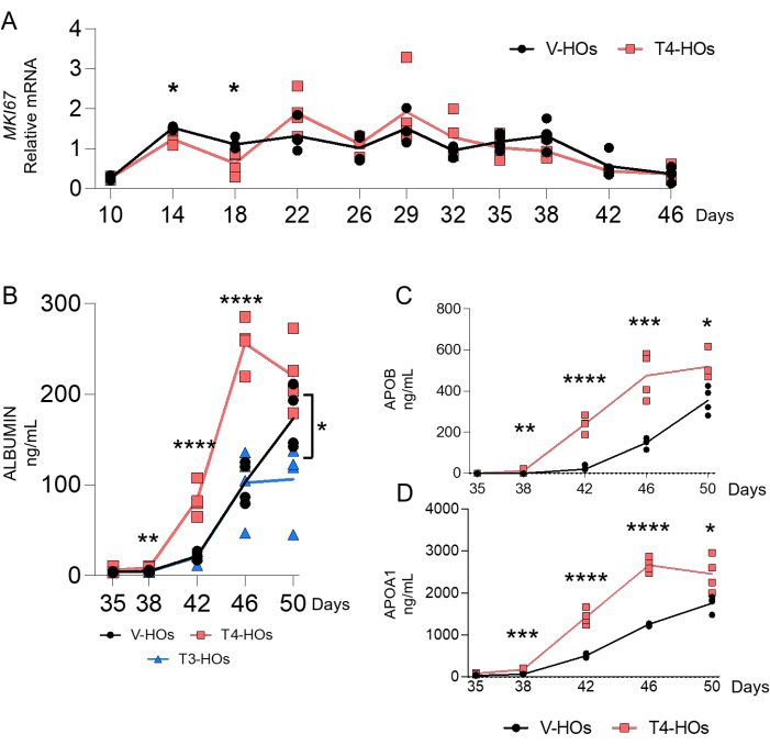 figure-results-3 Graph showing relative mRNA, albumin, APOB, APOA1 levels over time; statistical analysis included.
