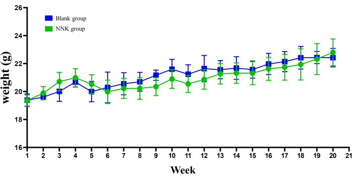 figure-results-2 Weight comparison graph of Blank vs NNK groups over 20 weeks; data with error bars.