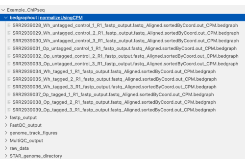 ChIP-seq data analysis directory, bedgraph files normalized using CPM method, bioinformatics setup.