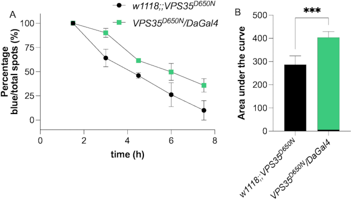 Time-dependent protein degradation analysis; graph & bar chart compare VPS35 mutations impact.