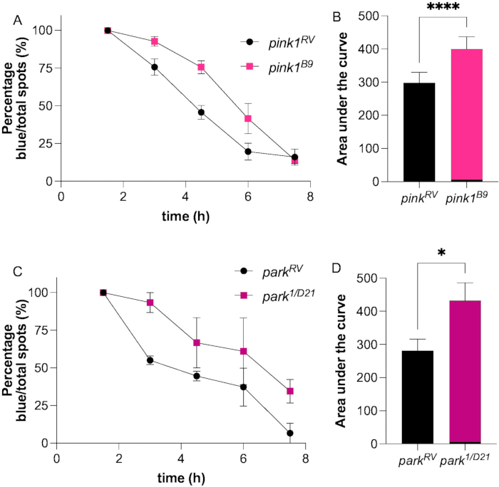 Line and bar graphs showing genetic mutation effects on spot percentage and area under curve analysis.