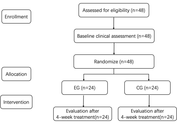 Flowchart of clinical trial process; randomization, assessment, and evaluation phases depicted.