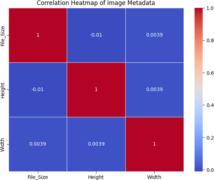 figure-protocol-3 Correlation heatmap of image metadata; diagram showing file size, height, width relationships.