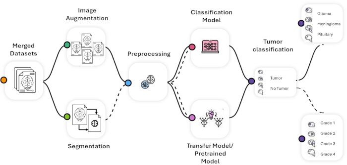 figure-protocol-5 Tumor classification flowchart: dataset merging, image augmentation, segmentation, model training.