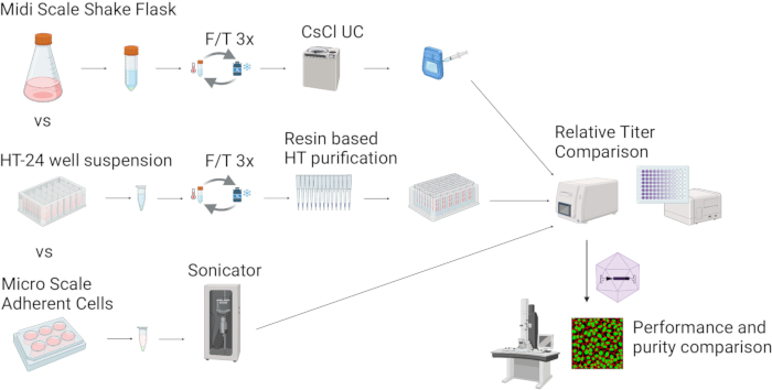 Midi, HT-24, and Micro scale cell purification diagram; CsCl UC, sonication; titer, purity comparison.