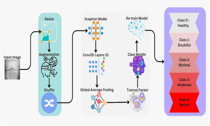 figure-protocol-1 Machine learning pipeline diagram; image processing, Xception model, classification algorithm.