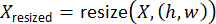 Equation describing image resizing process, formula X_resized=resize(X,(h,w)), used in image processing.