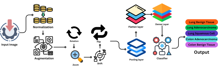figure-protocol-1 Deep learning workflow diagram for image classification; includes normalization, augmentation, classifier.