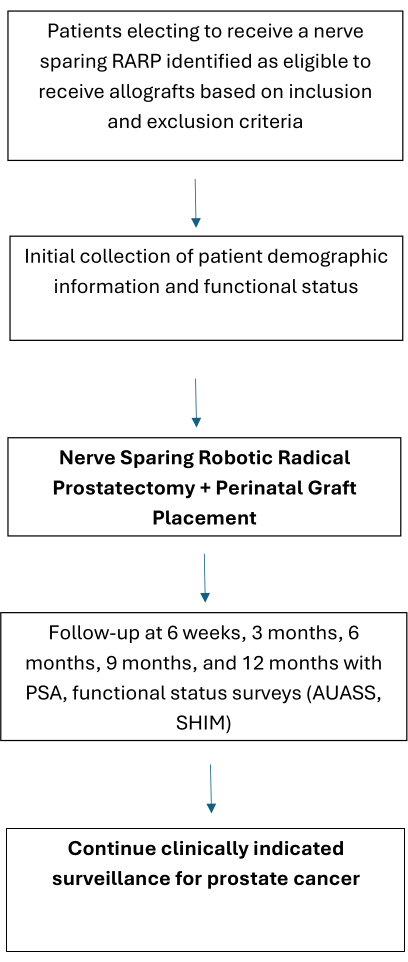 figure-results-1 Nerve-sparing RARP process flowchart; includes RARP, allograft criteria, follow-up, prostate cancer surveillance.