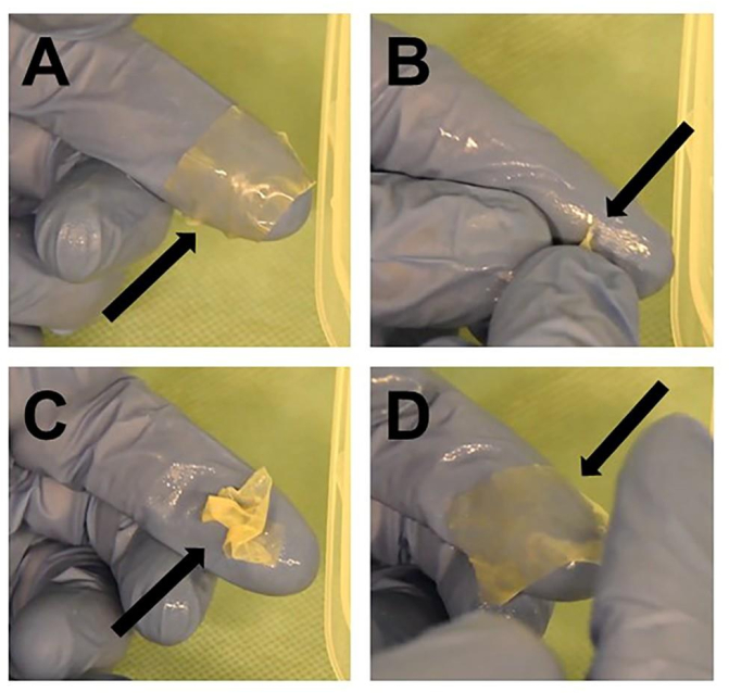 figure-results-2 Polymer film peeling process, sequential diagram, illustrating adhesive interaction study.