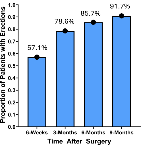 figure-results-4 Bar chart of patient erection recovery rates post-surgery at intervals from 6 weeks to 9 months.