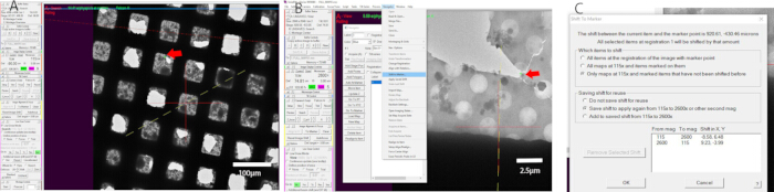 Electron microscopy analysis; diagrams showing nanoparticle arrays and measurement setup.