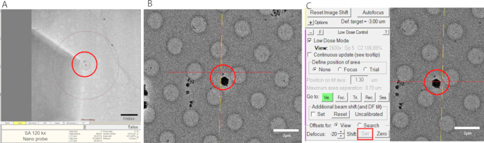 Nanoprobe electron microscopy; SA 120 kV setup; imaging nanoparticle structure; diagram with settings.