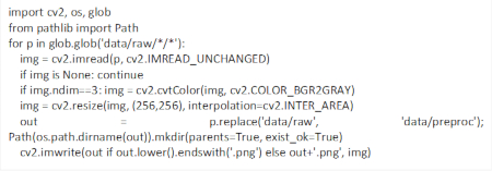 figure-protocol-4 Python code snippet for image preprocessing; grayscale conversion and resizing for data analysis.