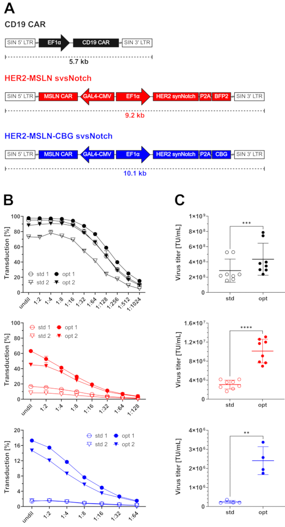 figure-results-1 Gene editing diagrams for CD19 CAR, HER2-MSLN constructs with graphs of transduction and virus titer data.
