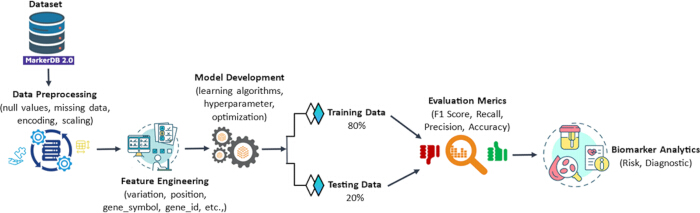 Data processing workflow diagram: dataset preprocessing, feature engineering, model development, evaluation.