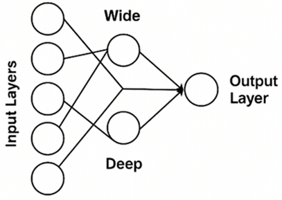 Neural network diagram; shows wide and deep input to output layers, illustrating architecture.