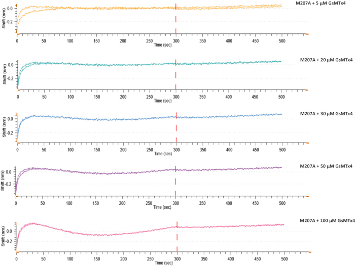 Protein interaction kinetics graph; SPR sensorgrams for M207A with GsMTx4 at varying concentrations.