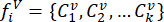 Mathematical equation: function \(f_i^v = \{C_1^v, C_2^v, ..., C_k^v\}\).
