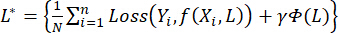 Optimization equation, L*, for loss function analysis in machine learning algorithm design.