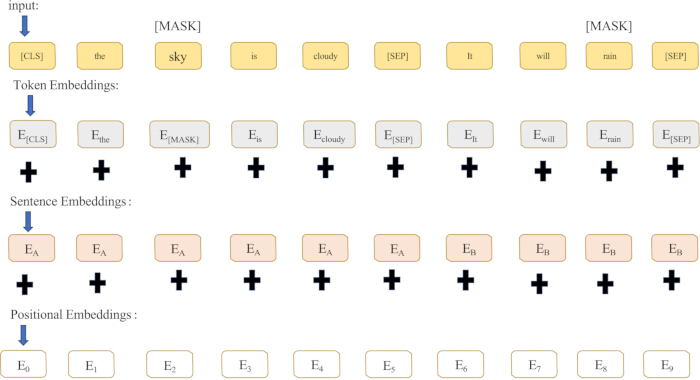 figure-protocol-2 Transformer architecture diagram; token, sentence, positional embeddings in NLP sequence modeling.
