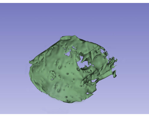 figure-protocol-3 3D rendering of a bone fragment; surface reconstruction; anatomical structure analysis.